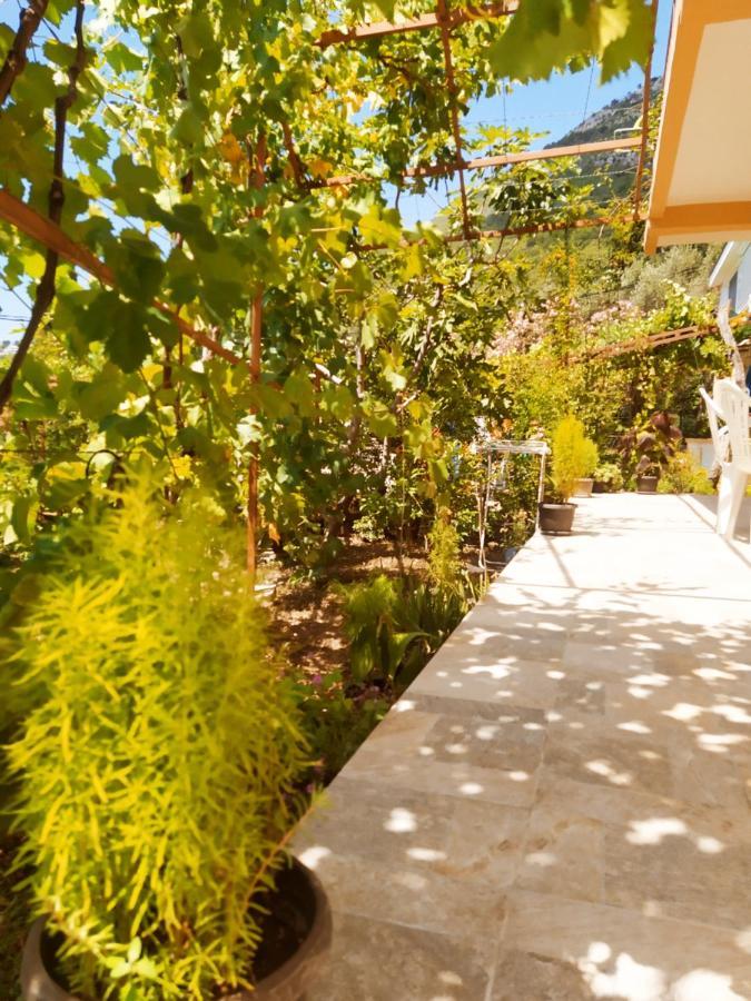 Djonovic Apartments Bar Εξωτερικό φωτογραφία